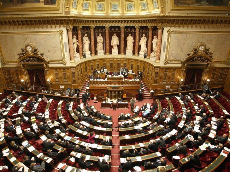 Loi Elan : les détracteurs exhortent le Sénat à modifier le texte