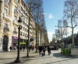 Sur les Champs-Elysées, un modèle commun de terrasses avant les JO