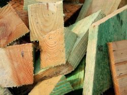Comment le bois-énergie se positionne sur la relance économique et le bas-carbone