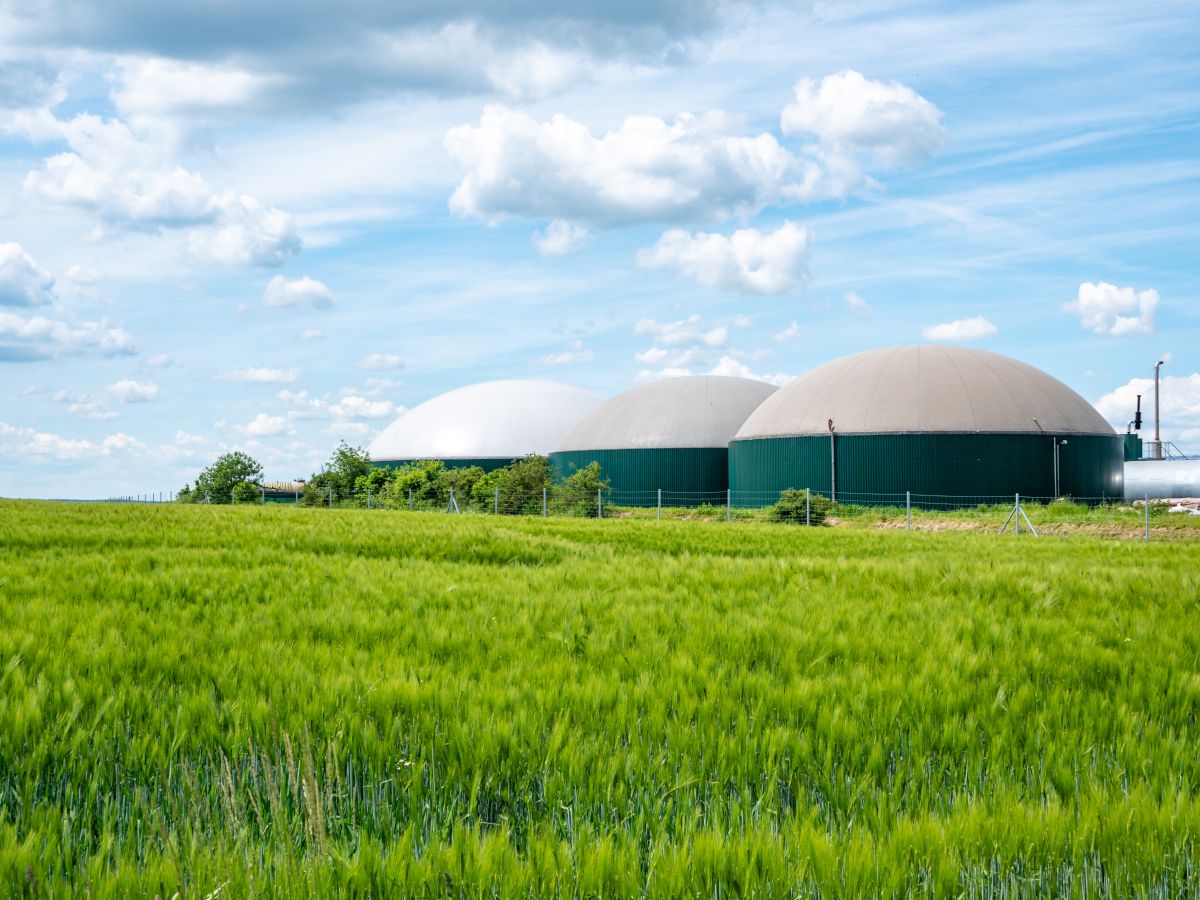 Les biogaz ont timidement terminé 2023, au contraire du biométhane