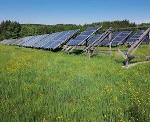 Aux Pays-Bas, à la recherche d'espace pour l'énergie solaire