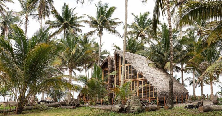 Des maisons en bambou et paille toquilla pour répondre aux conditions climatiques locales en Equateur