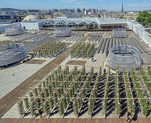 Ouverture de Nature Urbaine, la plus grande ferme urbaine en toiture d'Europe
