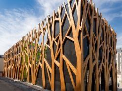 Espace culturel de Chaville : l'arbre qui cache la forêt