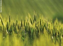 L'Union européenne s'engage sur 32 % d'EnR en 2030