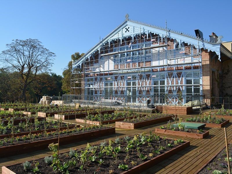 Installation d'un potager sur le toit d'un pavillon de réception