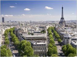 Paris bientôt laissée aux mains des citoyens-jardiniers ?