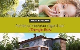 Poujoulat : les systemes bois energie en maison individuelle