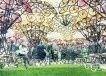 New York : City of Dreams Competition , art urbain et éducation à l'environnement