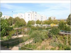 Un quartier des Hauts de Valence est distingué pour ses "jardins partagés"