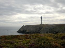 EDF garde son monopole dans les petites îles