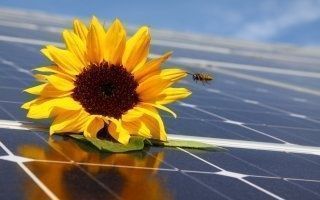 Nouvel appel d'offres pour 3 000 MW de centrales solaires au sol