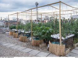 Paris inaugure une nouvelle ferme urbaine