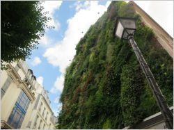Plus de 200 lieux seront végétalisés en 2015 à Paris