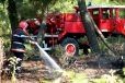 Feux de forêt : limiter les catastrophes grâce à l'urbanisme