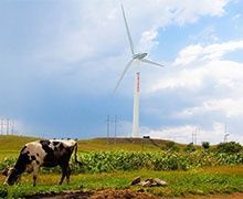 Apple investit dans les parcs éoliens chinois