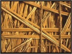 Les isolants biosourcés, source de surperformance thermique ?