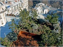 Le carnet de travail d'Hugues Peuvergne, poète des jardins