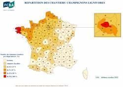 Lutte contre la mérule : la marque CTB-A+ fait le point sur la loi Alur