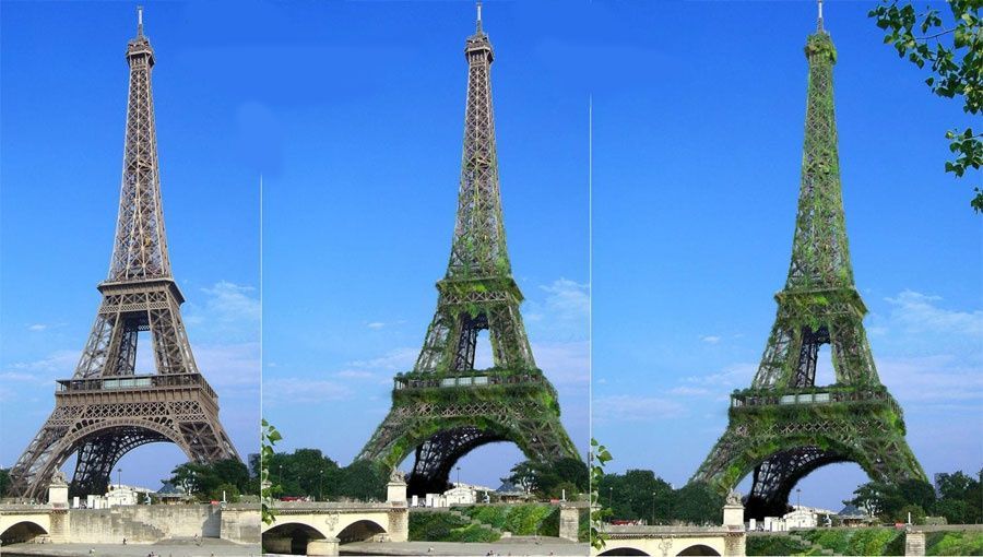 Tour Eiffel : et si le squelette métallique s' habillait d'un manteau végétal