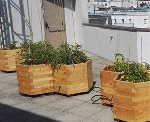 10 projets innovants pour une meilleure qualité de l'air à Paris
