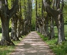La commune aussi peut s'approprier un bien