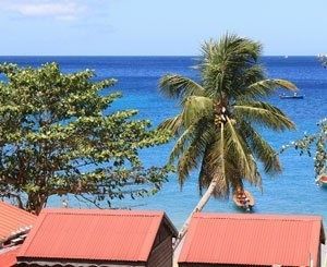 La Martinique se dote d'une cellule économique régionale de la construction