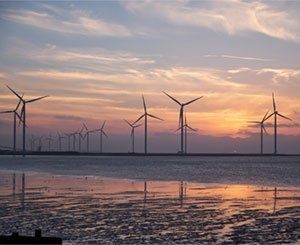 Éolien en mer : le gouvernement s'apprête à renégocier les tarifs