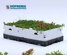 TOUNDRA'BOX : la box végétalisée pré-cultivée