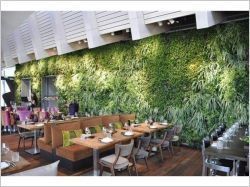 Un restaurant adopte un mur végétal en guise de décoration (diaporama)