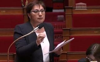 Martine Pinville, nouvelle secrétaire d'Etat chargée du Commerce et de l'Artisanat