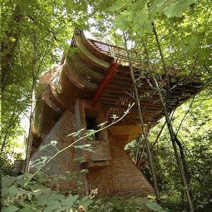 Une maison en bois, dans les bois