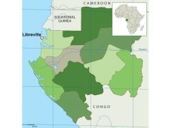 Une visite fructueuse pour François Fillon au Gabon