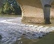 Unibéton primée dans le cadre du concours "Béton & Aménagements durables des territoires" du SNBPE, catégorie biodiversité