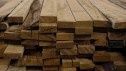 Une mesure fiscale pour transformer nos milliers de forêts en tonnes de bois