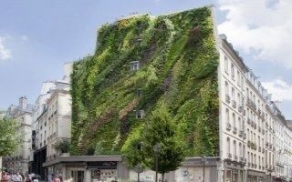 Un immense jardin vertical garni un mur de Paris