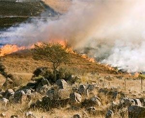 Les feux meurtriers autour d'Athènes étaient prévisibles selon les experts