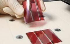 Des panneaux photovoltaïques organiques mimétiques à l'étude