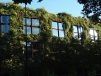 Trois conseils pour concilier bâtiment et biodiversité