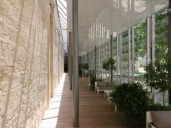 A Montpellier, un hospice désaffecté est transformé en un centre de recherche