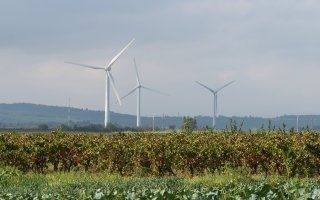 Faute d'évaluation environnementale, le schéma régional éolien d'Aquitaine est annulé