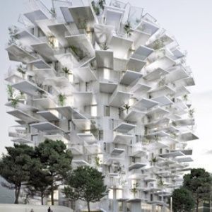 Montpellier : future tour-arbre signée Sou Fujimoto