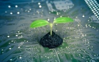 Ségolène Royal lance l'appel à projets " GreenTech Ecoles "