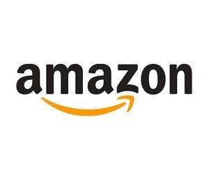 Des patrons et élus demandent à Amazon de revenir à New York