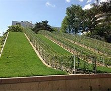 A La Défense, le parc Diderot rouvre après 18 mois de travaux