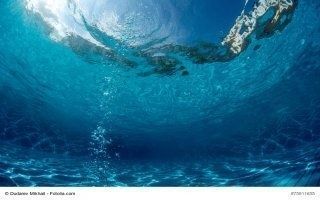 " Révolution durable " oblige, la piscine devient plus écologique