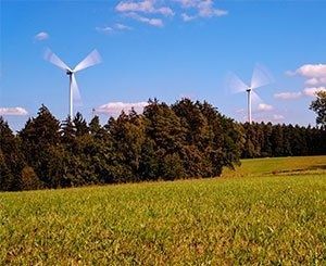 La cour d'appel administrative de Nantes autorise un projet de parc éolien dans une forêt du Morbihan