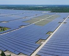 La construction d'une centrale solaire annulée à la demande d'écologistes