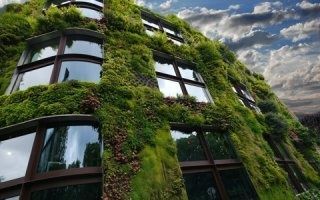 Les façades végétales pour une ville verte