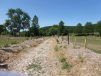 Permaculture : la forêt comestible élargit l'horizon du Bec-Hellouin